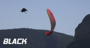 Team 5 - Black