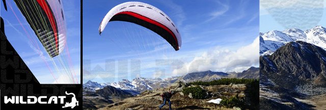 Icaro Paragliders Wildcat