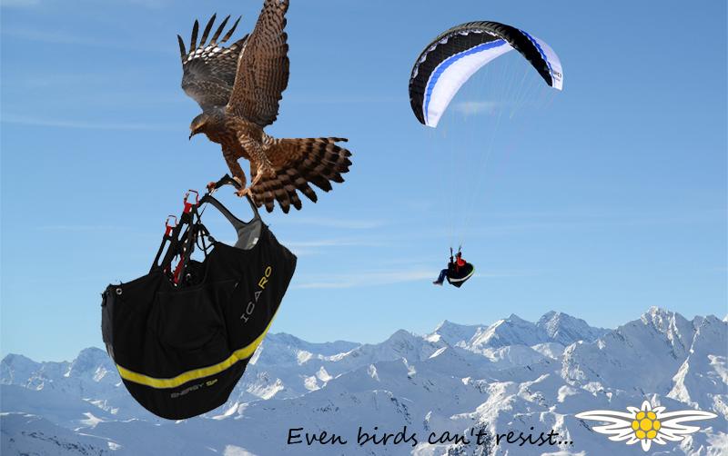 Icaro-paragliders-Energy-SP-nyhet_2