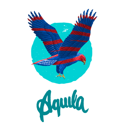 icaro_paraglider_aquila-bird