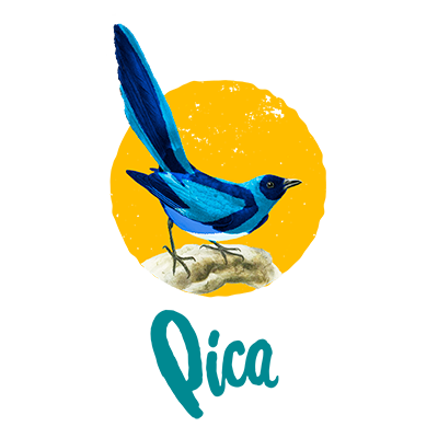 icaro_web_bird_pica