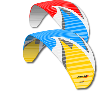 Pro-Design-Amiga-2-colours
