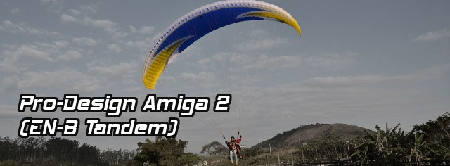 Pro-Design Amiga 2 (tandem)