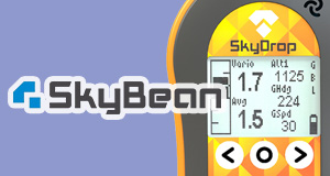 SkyBean (e-butik)