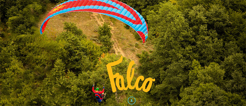 Icaro Falco